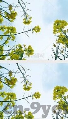 足球比分卡拉巴赫-卡拉巴赫，足球比分背后的荣耀与梦想